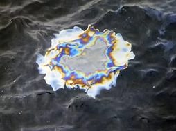 Разлив нефтепродуктов в Аполлоновой бухте может завершиться уголовным делом