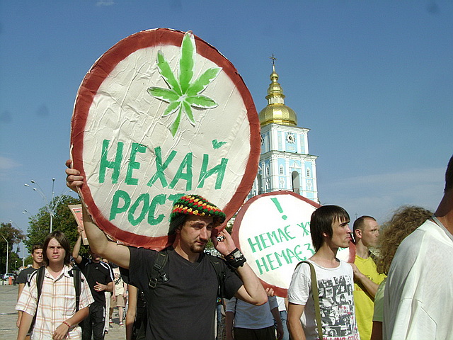 Украина марихуана