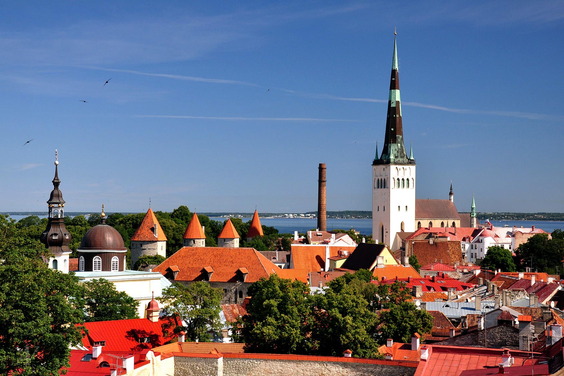 В Эстонии предложили ввести 72-часовой безвизовый режим с Россией