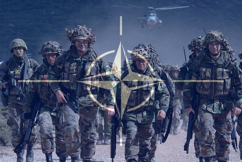 Профессор Гарвардского университета: На территории Украины разместят войска НАТО