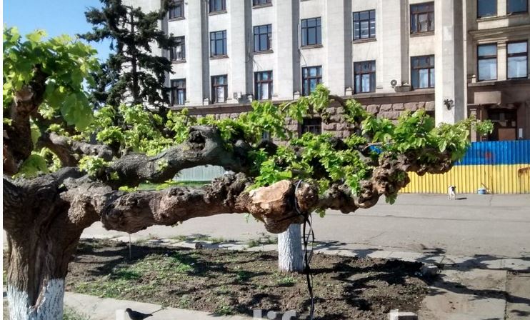 В Одессе с Куликова поля исчез мемориал погибшим 2 мая2