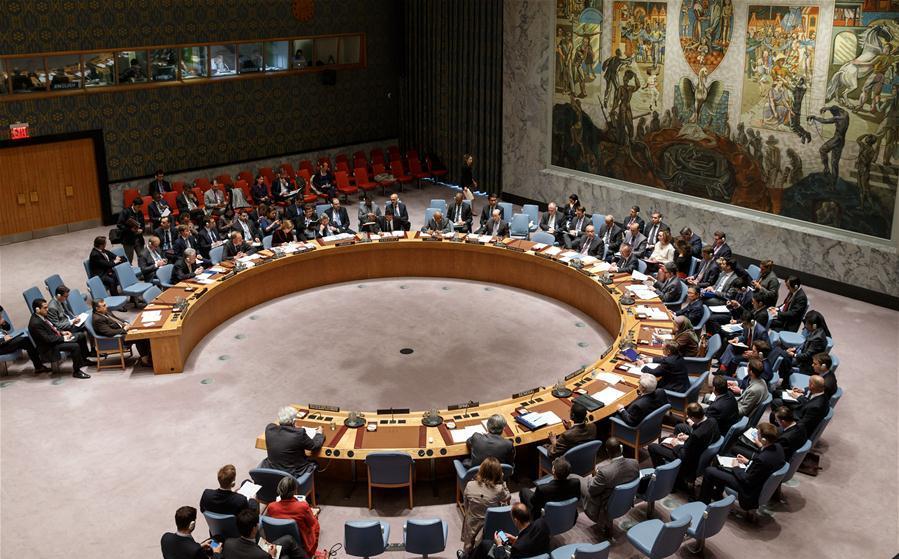 Россия заблокировала в СБ ООН украинский проект заявления по Сирии
