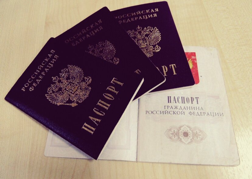 Будешь болтать — вышлем: в России вступил в силу закон о гражданстве