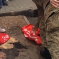 Бандеровцы осквернили Красное Знамя Победы в Одессе (видео)