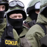 Самооборона Донецкой республики разоружила группу бойцов спецподразделения «Сокол»