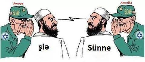 Сунниты и шииты карикатура