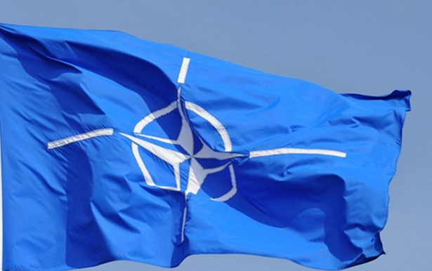 В Европе опасаются раскола Украины из-за вступления в НАТО