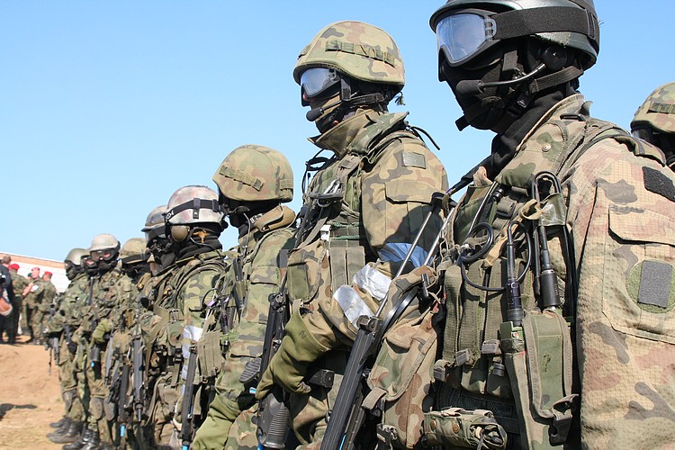 СовФед отреагировал на появление польских наемников в Донбассе
