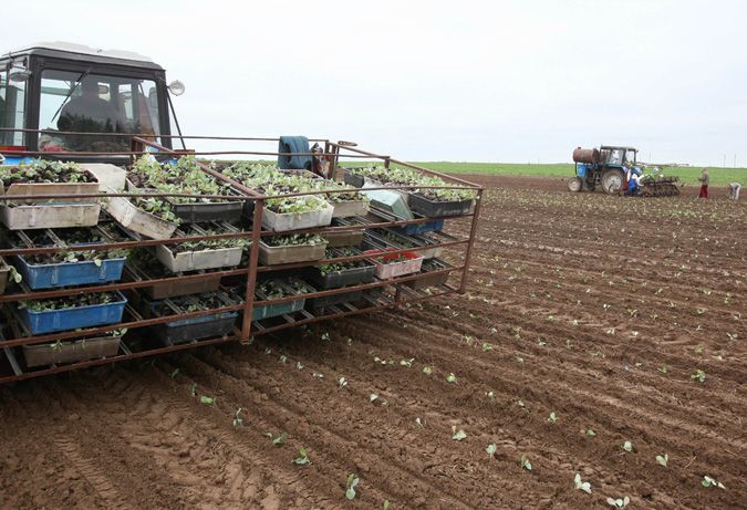 Сельское хозяйство в ЛНР