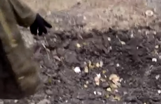 Украинские вояки: Нас обстреливают раз в три дня (видео)