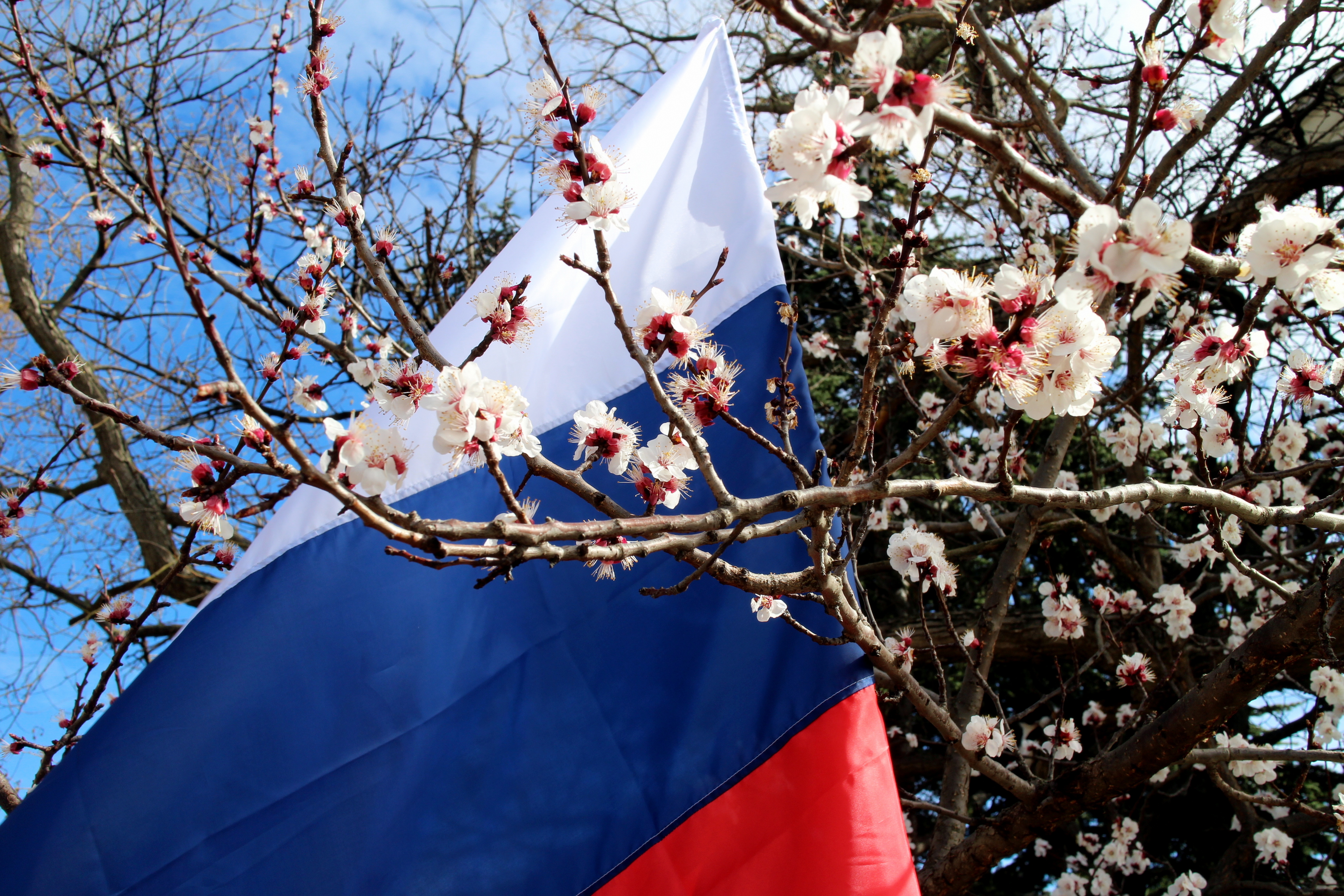 русская весна