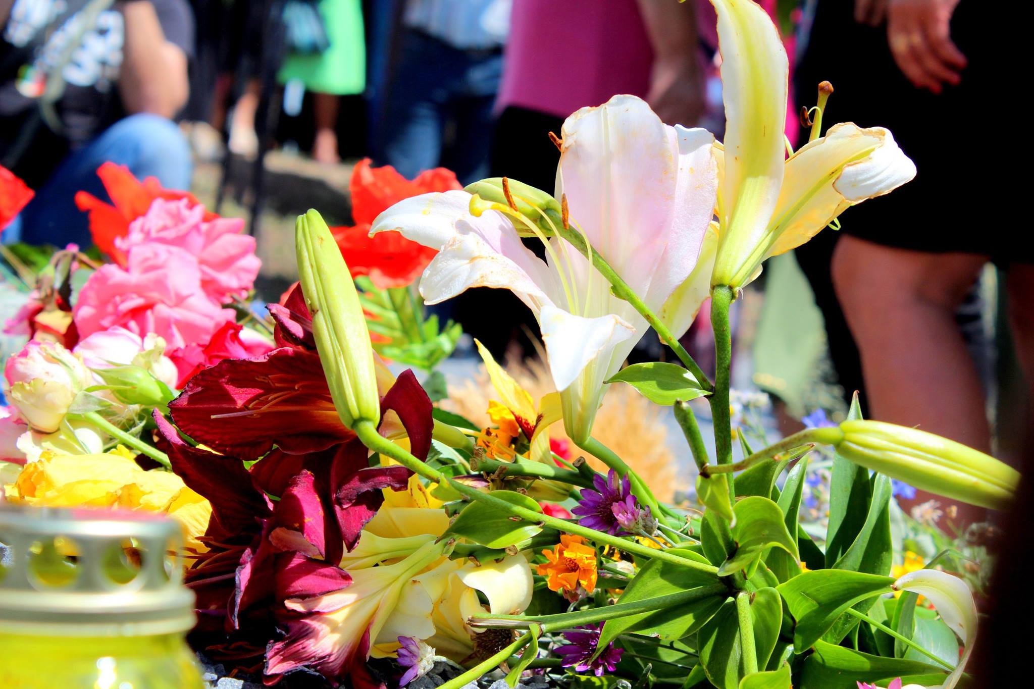 Мир почтил память погибших пассажиров "Боинга" (фото, видео)