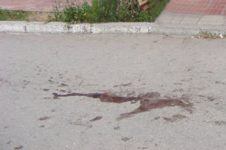 В Киеве застрелена независимая журналистка