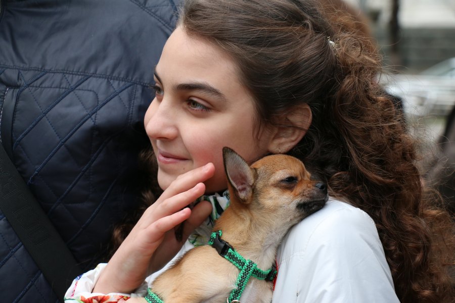 Путин подарил девочке из Донецка щенка чихуахуа
