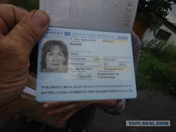 Паспорта пассажиров разбившегося на Украине малазийского боинга