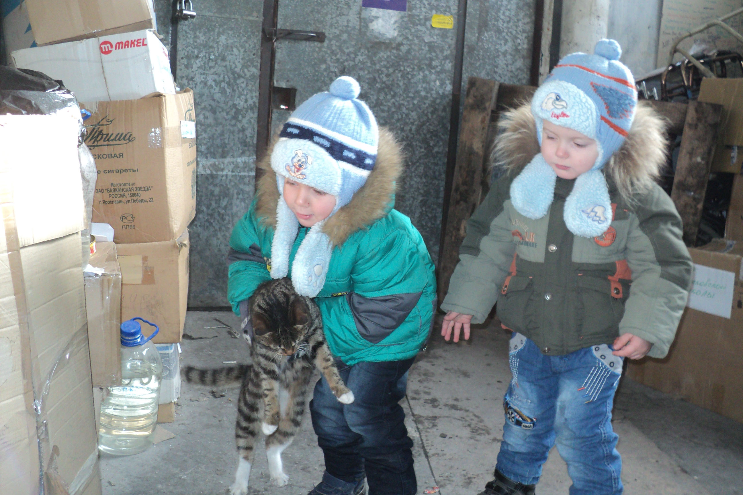 Отчёт по работе гуманитарного склада в Ростове-на-Дону и его будни за 31 января 2015