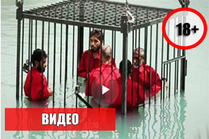 Зверские казни боевиков ИГИЛ