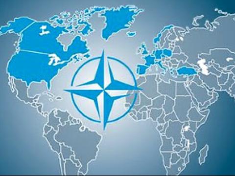 НАТО проведет совместные учения