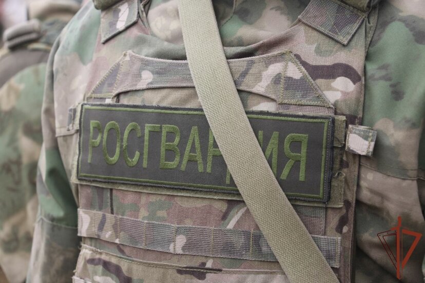 Росгвардейцы обезвредили более 200 противодесантных мин на юге Украины