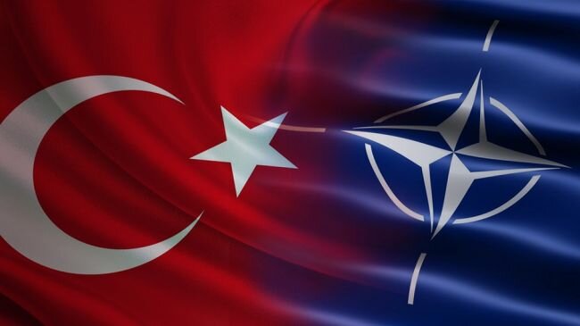 В США начали раздаваться призывы об исключении Турции из НАТО