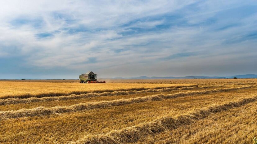 Монтян: вывозящий с Украины последнее зерно Запад уже нацелился на следующий урожай