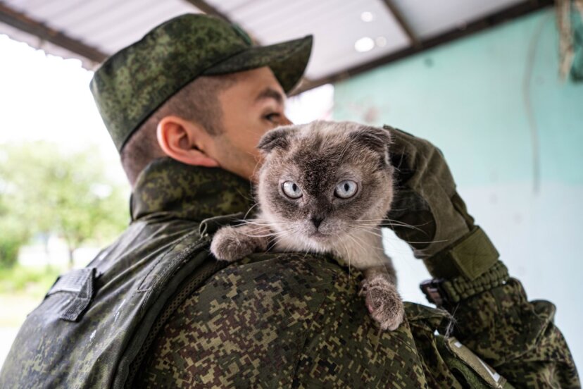 Военнослужащие ВС РФ и НМ ДНР спасают домашних животных