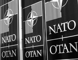 В США сравнили вступление Украины в НАТО с операцией «Барбаросса»