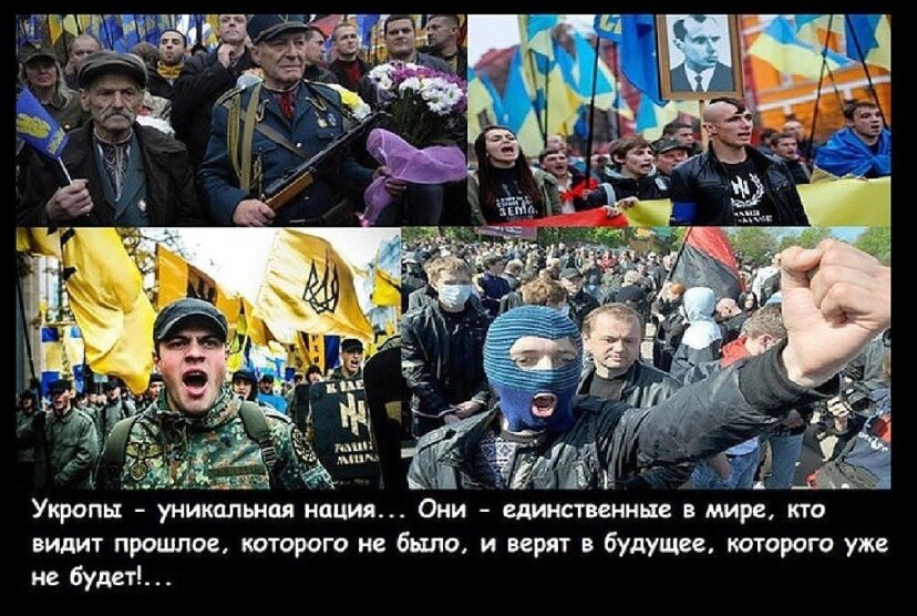 Мнение: «Хватит стрелять, там гибнут простые украинцы»