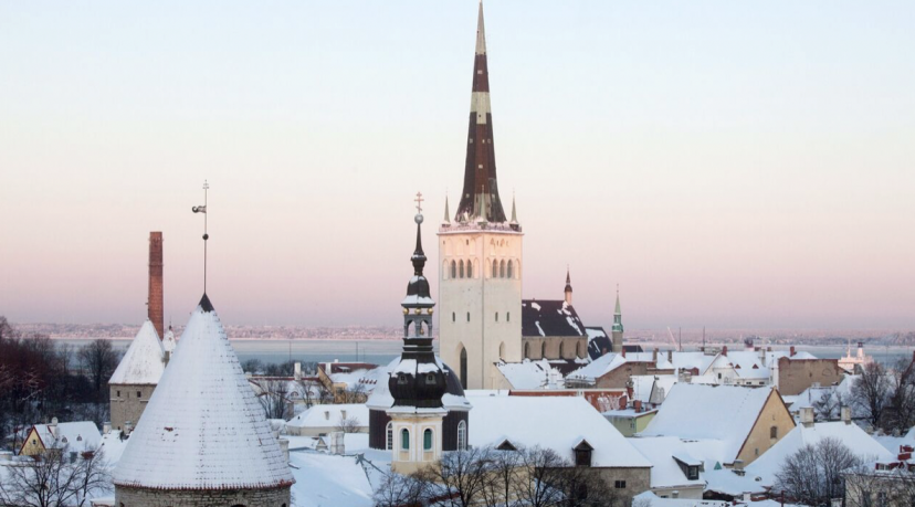 Эстония подтвердила арест россиянина Конощенка по запросу США