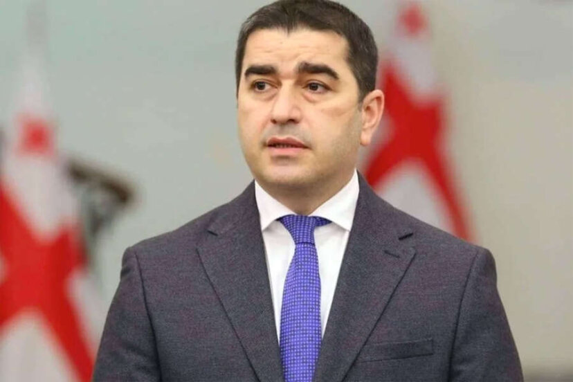 Спикер парламента Грузии заявил о десятках тысяч жертв системы Саакашвили