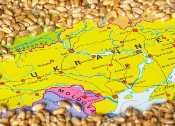 Fakt: поляки обвинили Украину в уничтожении сельского хозяйства: "Оставьте нас в покое!"