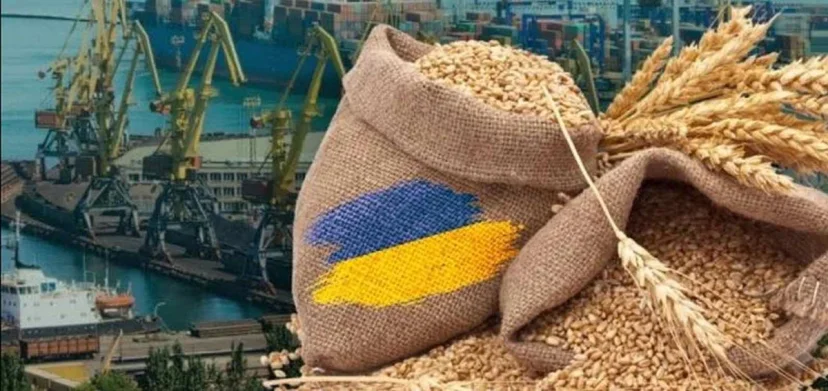 Киев взбрыкнул после решения Варшавы по украинскому зерну
