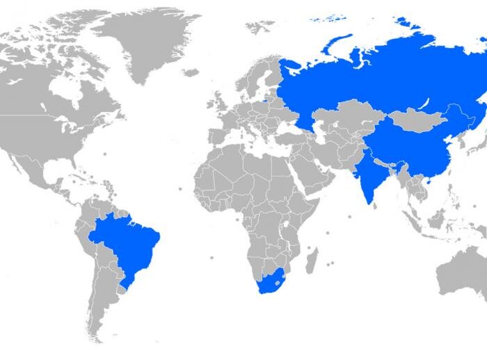 В Турции рассказали, кого точно не возьмут в БРИКС