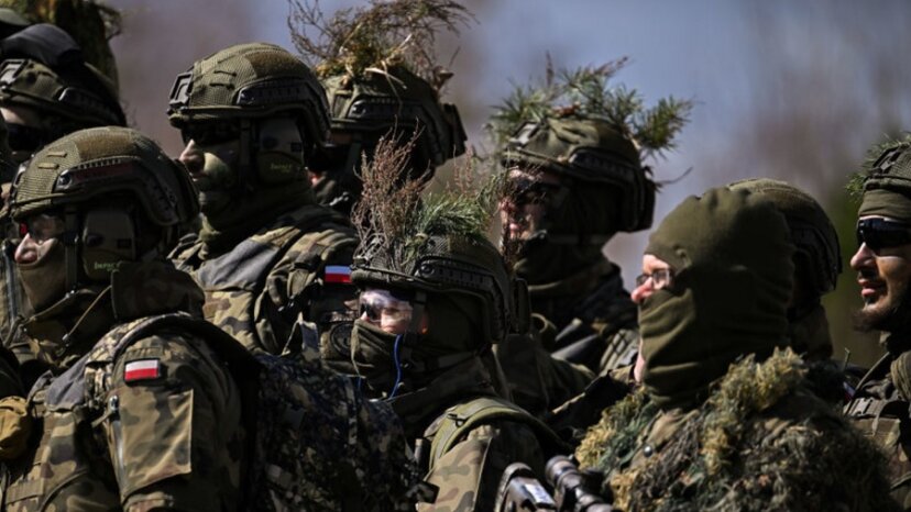 Вырождение НАТО: Польше на Украине никто не поможет