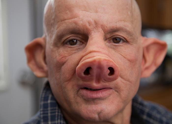 Политолог Константин Сивков получил свиную голову "в подарок"