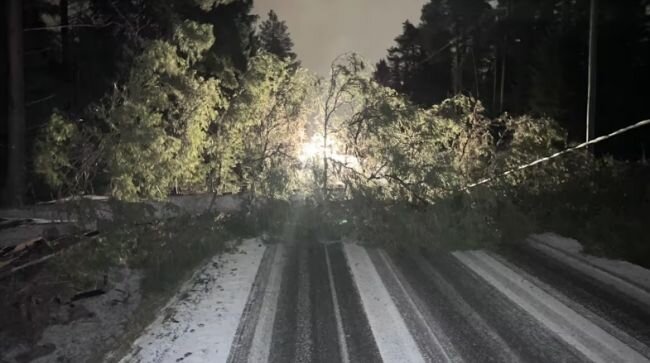 Шторм выключает Эстонию и Финляндию: самолеты выдувает со взлетной полосы