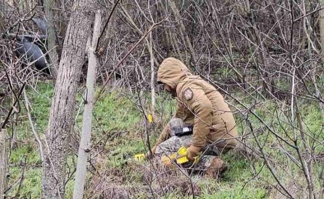 Найденный на юге Молдавии БПЛА был с боевой частью: Кишинев обвинил Россию