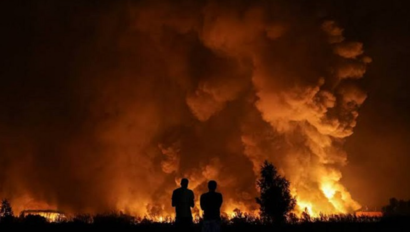 Украина устроила себе собственный холокост